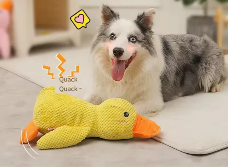 Pelúcia Pato Para Cachorros