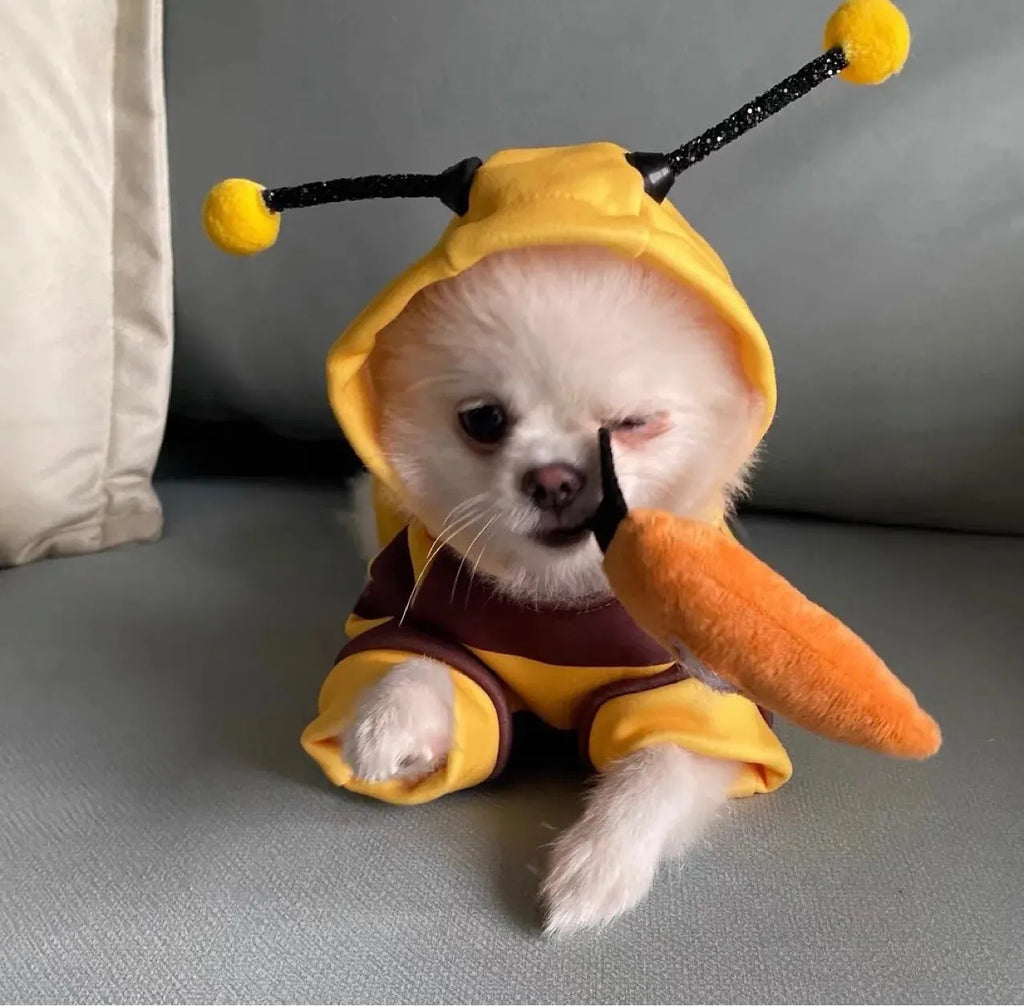 Fantasia Pet Abelha