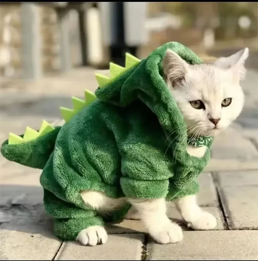 Roupa Pet Dinossauro