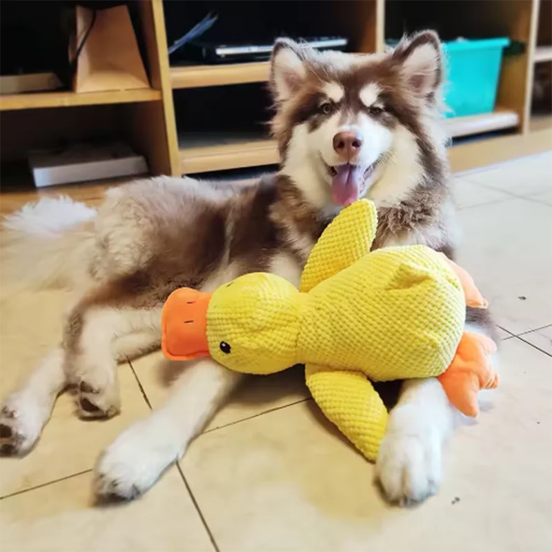 Pelúcia Pato Para Cachorros