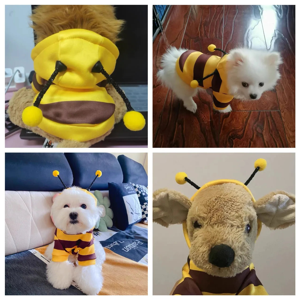 Fantasia Pet Abelha