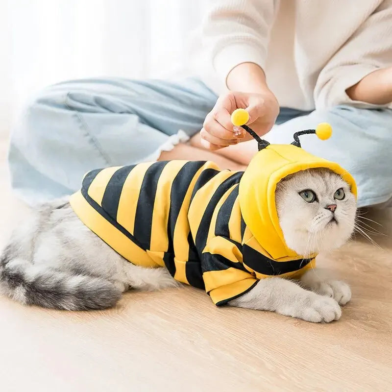 Fantasia Pet Abelha