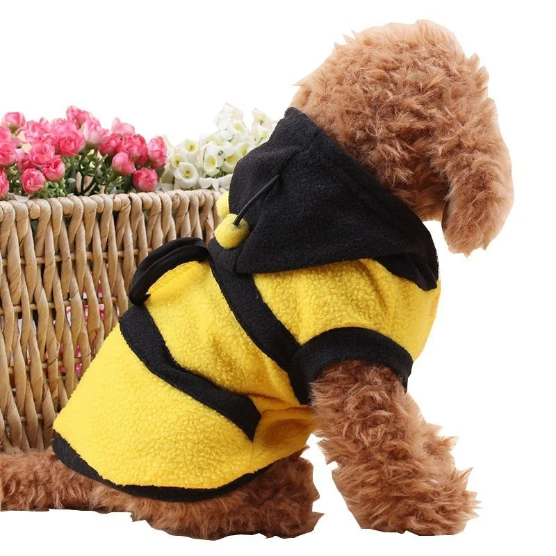 🐝 Roupa Pet Abelhinha