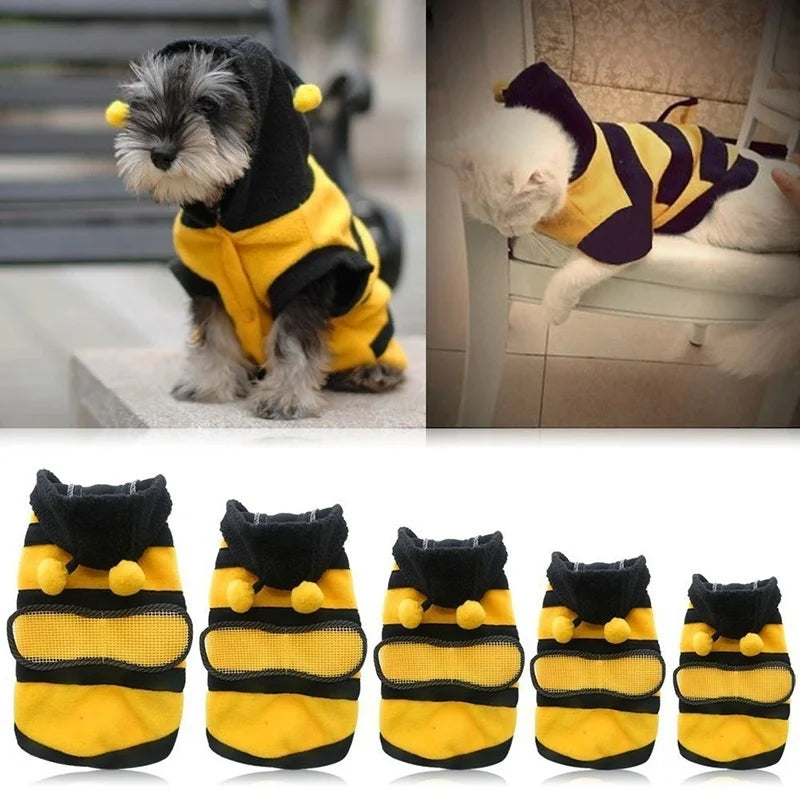 🐝 Roupa Pet Abelhinha