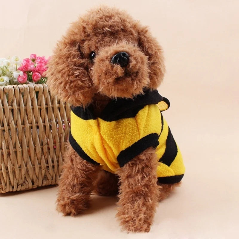 🐝 Roupa Pet Abelhinha
