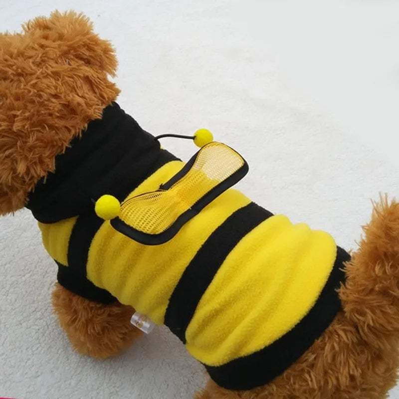 🐝 Roupa Pet Abelhinha